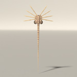 Click to download the 'Alien Facehugger (for Poser)'